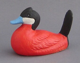 Wade Ruddy Duck