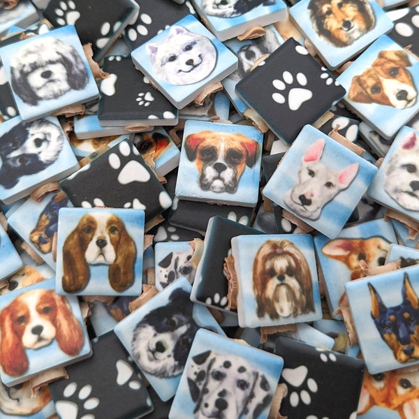 Dog Fun Tile Dog Paw Tiles - Etsy