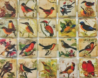 Vintage Birds Designs Mixed Mosaic Tile Pieces - Ceramic Mosaic Tiles - 36 Pieces Of Mixed Patterned Mosaic Tiles