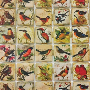 Vintage Birds Designs Mixed Mosaic Tile Pieces - Ceramic Mosaic Tiles - 36 Pieces Of Mixed Decorative Mosaic Tiles