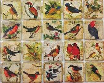 Vintage Birds Designs Mixed Mosaic Tile Pieces - Ceramic Mosaic Tiles - 36 Pieces Of Mixed Decorative Mosaic Tiles - Mosaic Supplies
