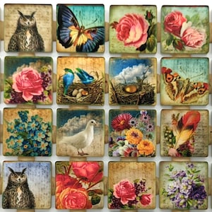 May include: A set of 16 vintage-style square tiles featuring floral designs, birds, butterflies, and owls. The tiles have a distressed, aged look and are perfect for crafting projects.