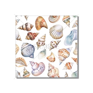 May include: A seamless pattern featuring watercolor illustrations of various seashells in shades of brown, blue, and white. The shells are arranged in a random pattern on a white background.