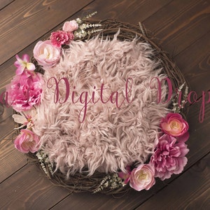Flower nest newborn digital backdrop