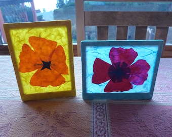 Veilleuse pensée ou coquelicot