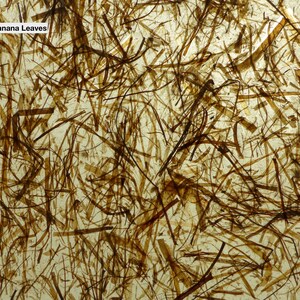 Pode incluir: Close-up de uma folha de papel com uma superf&iacute;cie texturizada feita de folhas de banana marrons. As folhas est&atilde;o dispostas aleatoriamente e criam um padr&atilde;o natural e org&acirc;nico.
