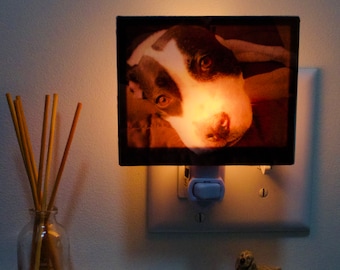 Pet Memorial Night Light