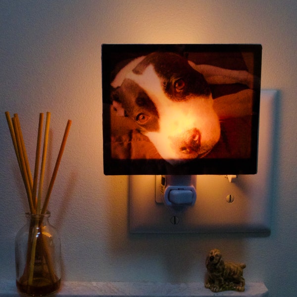Pet Memorial Night Light Etsy