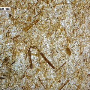 Pode incluir: Close-up de uma folha de papel com uma superf&iacute;cie texturizada feita de fibra de banana grossa. As fibras s&atilde;o de cor castanho claro e s&atilde;o vis&iacute;veis em todo o papel.
