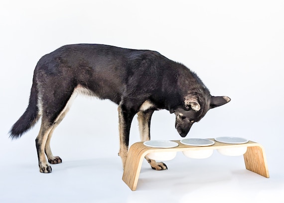 etsy dog feeder