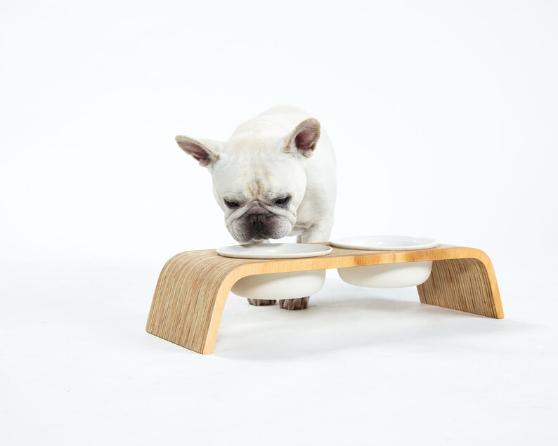 Modern Dog Feeder Raised / Elevated bowl stand Double Short Etsy