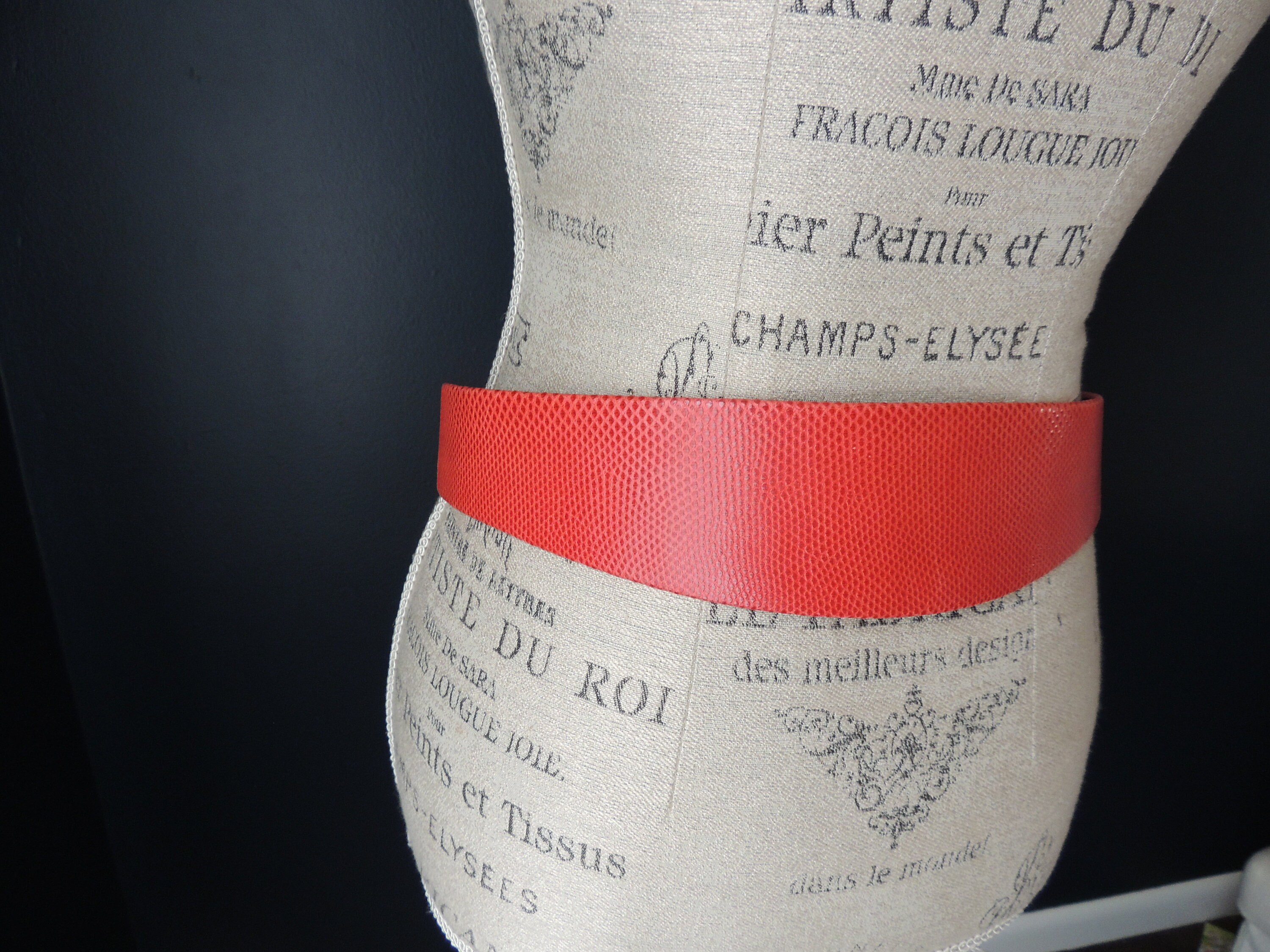 Salena\'s Collection Vintage 1985 Red Leather Black Snake Skin Wide Belt Italy OS Manufacturas Tapia 1980s Metal Snake Red Leather Wide Belt  main image 2