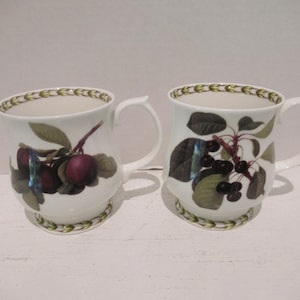 May include: Two white ceramic mugs featuring botanical illustrations of fruit. The left mug displays dark purple plums with green leaves, while the right mug shows dark cherries with green leaves. Both mugs have a green leaf border at the rim and base.