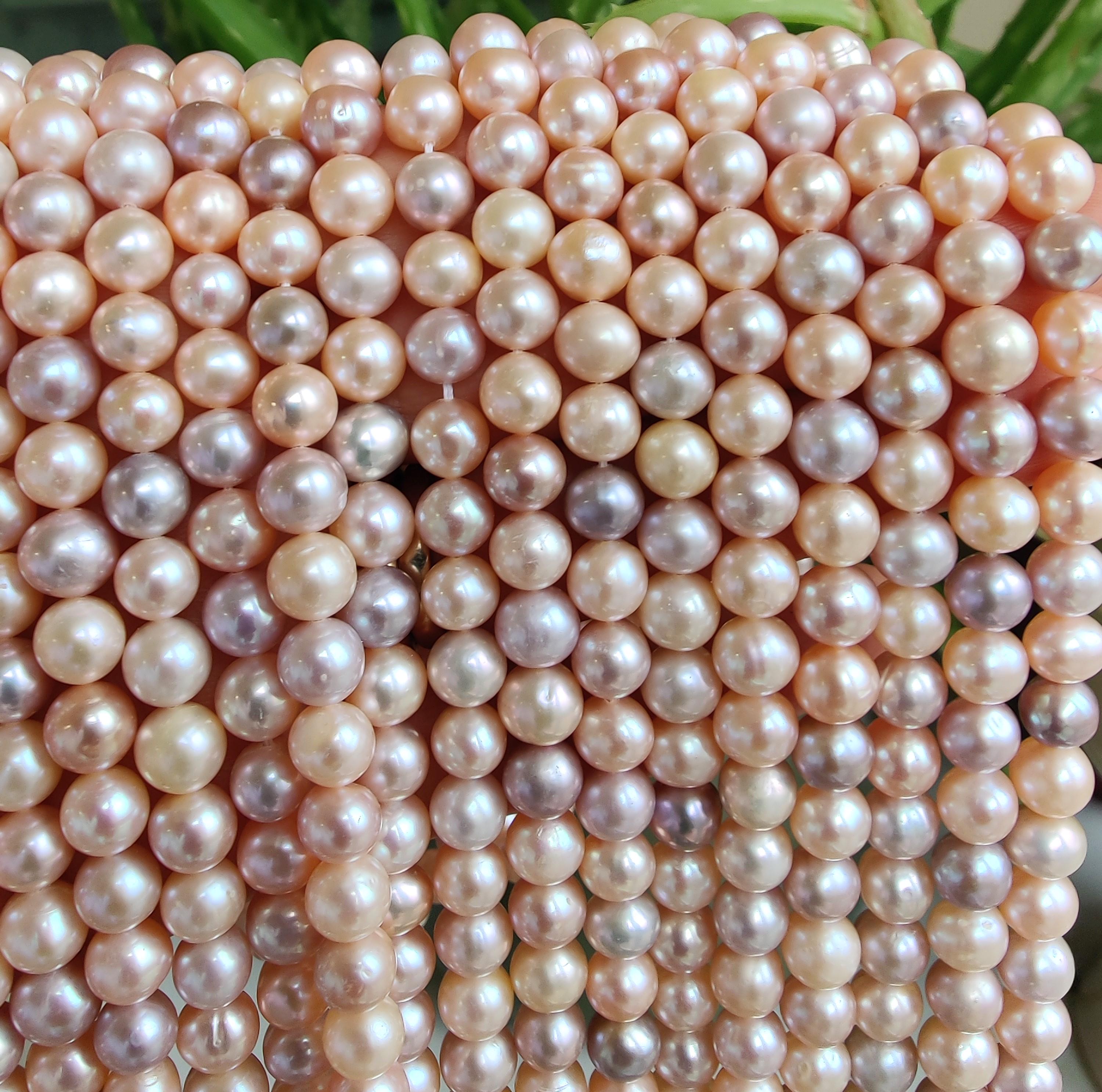Ostras Cultivadas De Agua Dulce Con Perlas En El