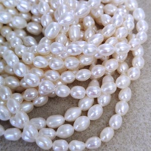 Peut inclure: Une collection de nombreuses petites perles d'eau douce de forme ovale, de couleur blanc cassé, disposées en un amas dense et chevauchant. Chaque perle présente une surface lisse et lustrée avec un éclat irisé subtil reflétant la lumière.