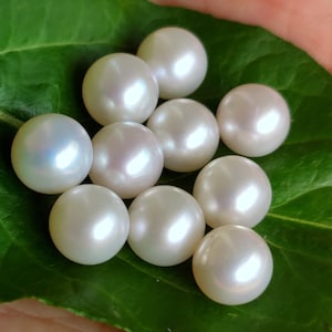 1x Ivory White Un-drilled Round Genuine Freshwater Pearls No Hole AAA
