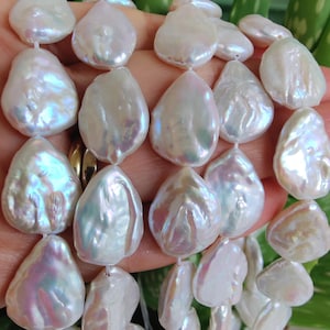 Large White Flat Teardrop Freshwater Loose Pearls for Jewelery Making 14-15mm