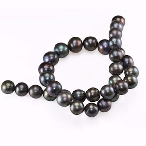 12-14mm Large Peacock Black Round Nucleated Baroque Genuine Freshwater Pearls - 6 loose or 1 string