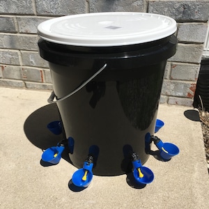 6-Cup Automatic Chicken Waterer Bucket: Poultry Drinker for Quail, Ducks