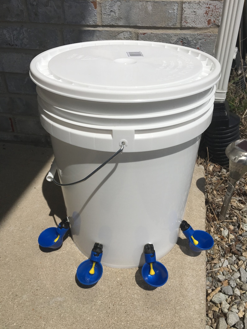 Automatic Chicken Waterer Plain Jane Bucket Water Feeder Etsy