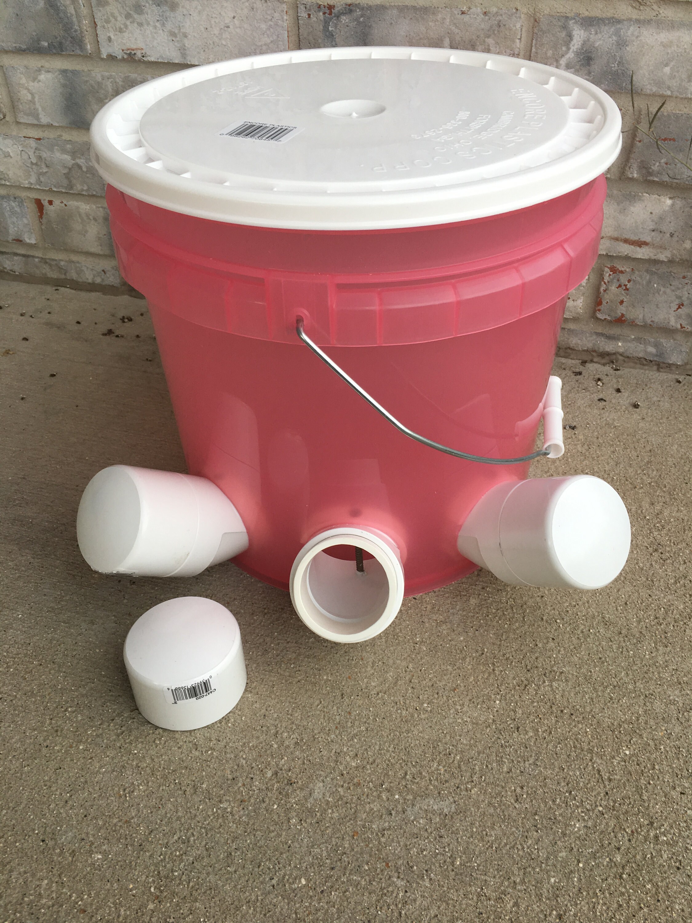AUTOMATIC CHICKEN Feeder Translucent Pink Watermelon 4th of July ...