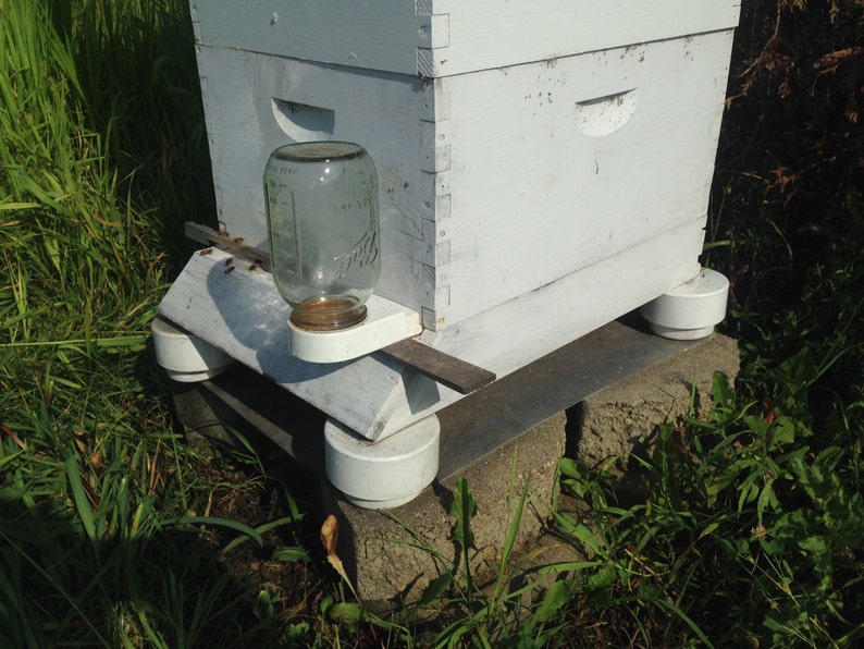 HONEY BEE Hive DIY Auto Ant Repellent Platforms How to Do, Beekeeping
