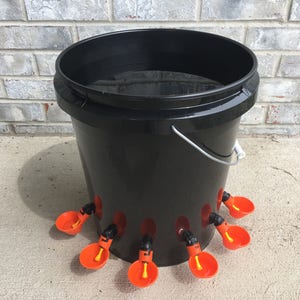 6 Cup Automatic Poultry Water Feeder,  Summer & Labor Day Special, Quail, Pullets, Ducks, Quail  Free shipping