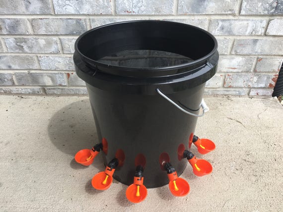 6 Cup Automatic Poultry Water Feeder Black Friday Christmas Etsy