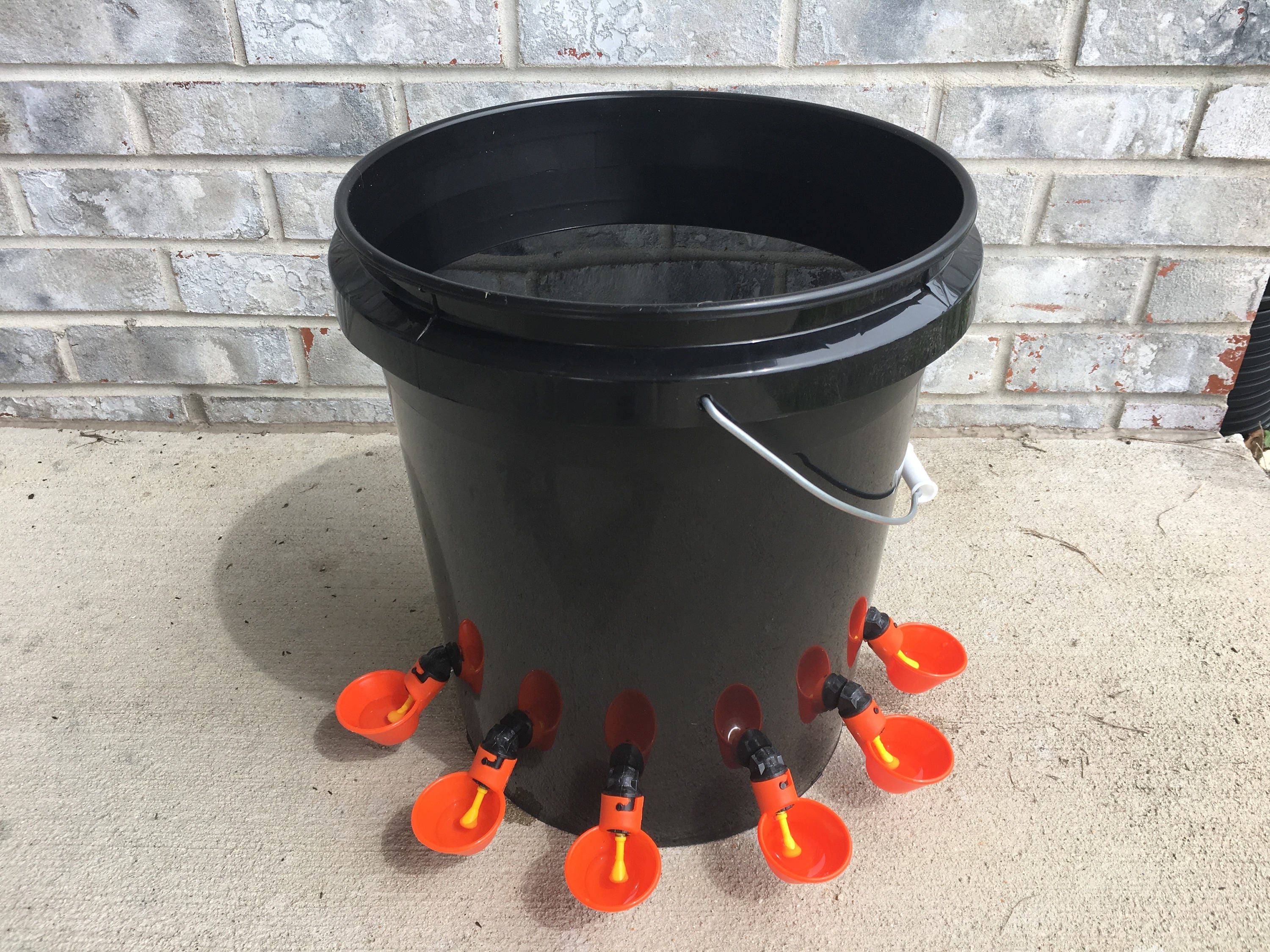 automatic chicken feeder automatic chicken feeder