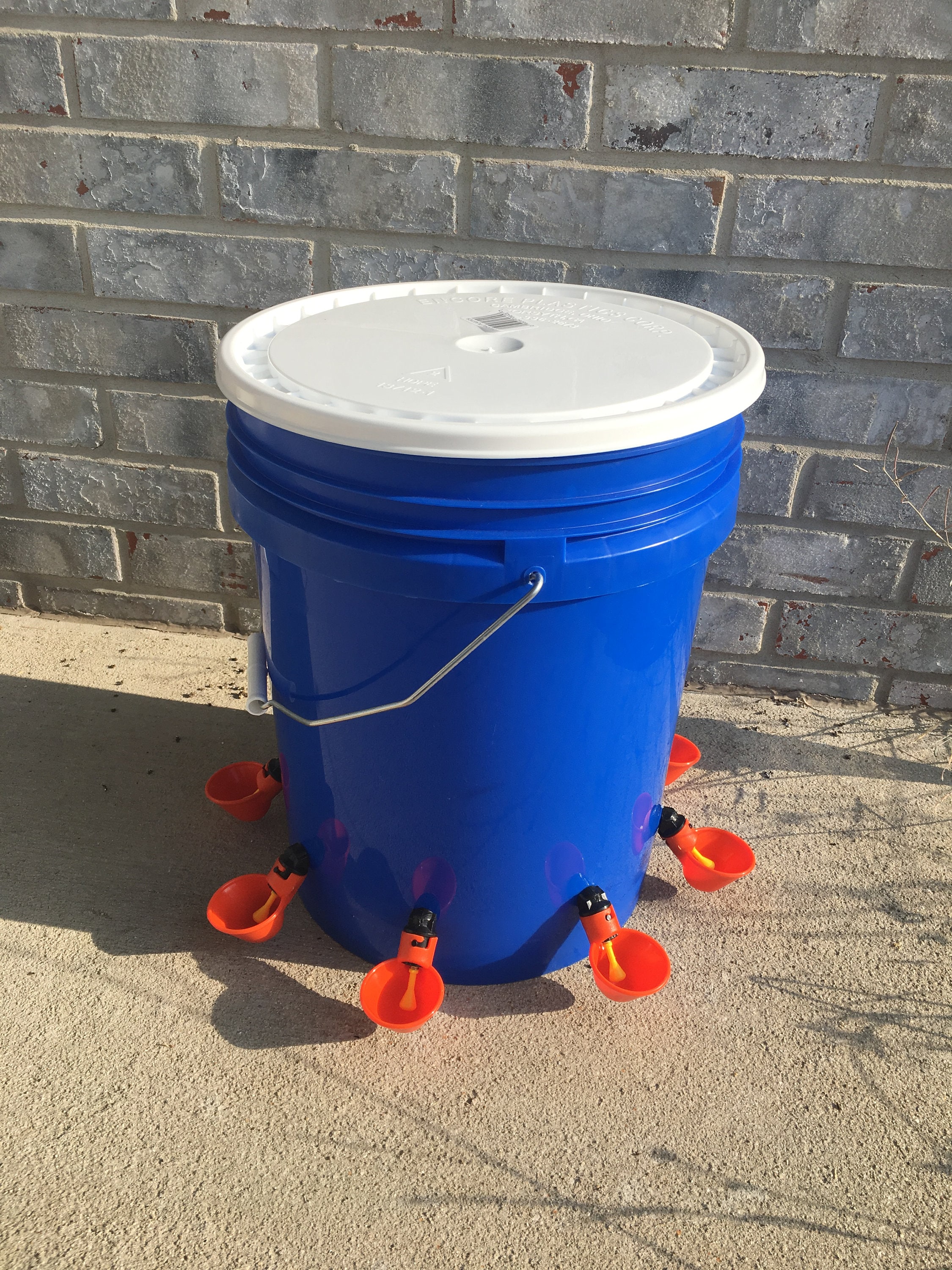 6 Cup AUTOMATIC Chicken Water Feeder, Easter Special Waterer Bucket
