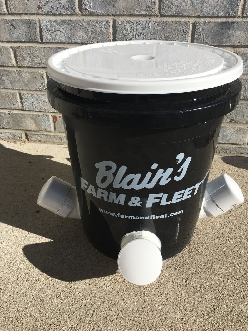 Automatic Chicken Poultry Feeder Bucket Cute Memorial Day Etsy