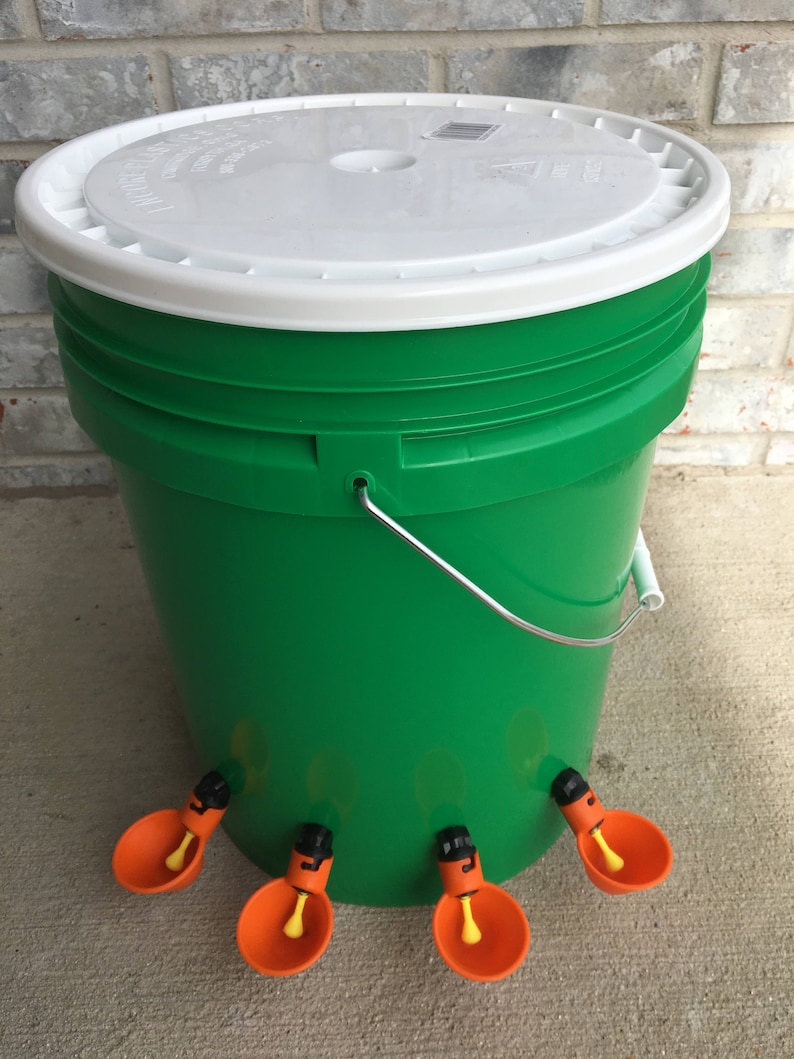AUTOMATIC CHICKEN Waterer Green Bucket Water Feeder, Easter Special