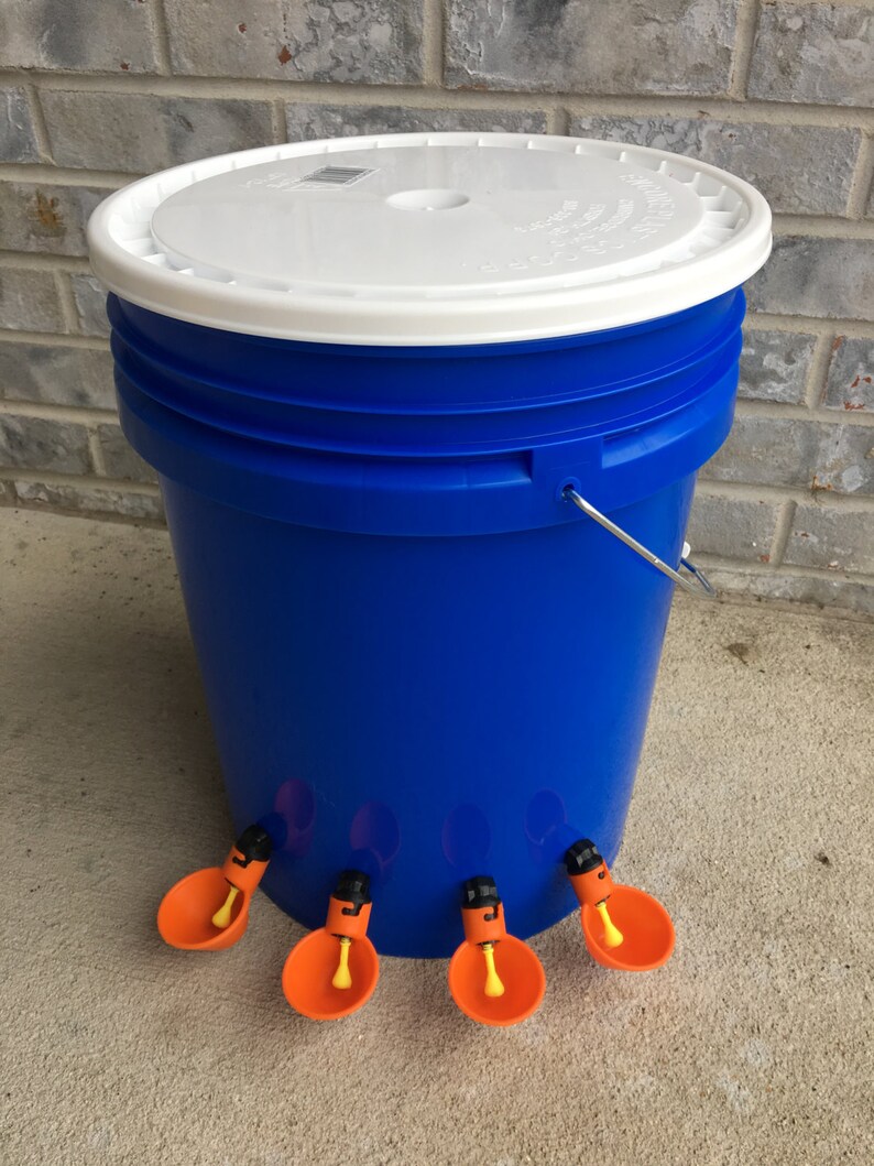 Automatic Chicken Waterer Blue Bucket Water Feeder Fall Etsy