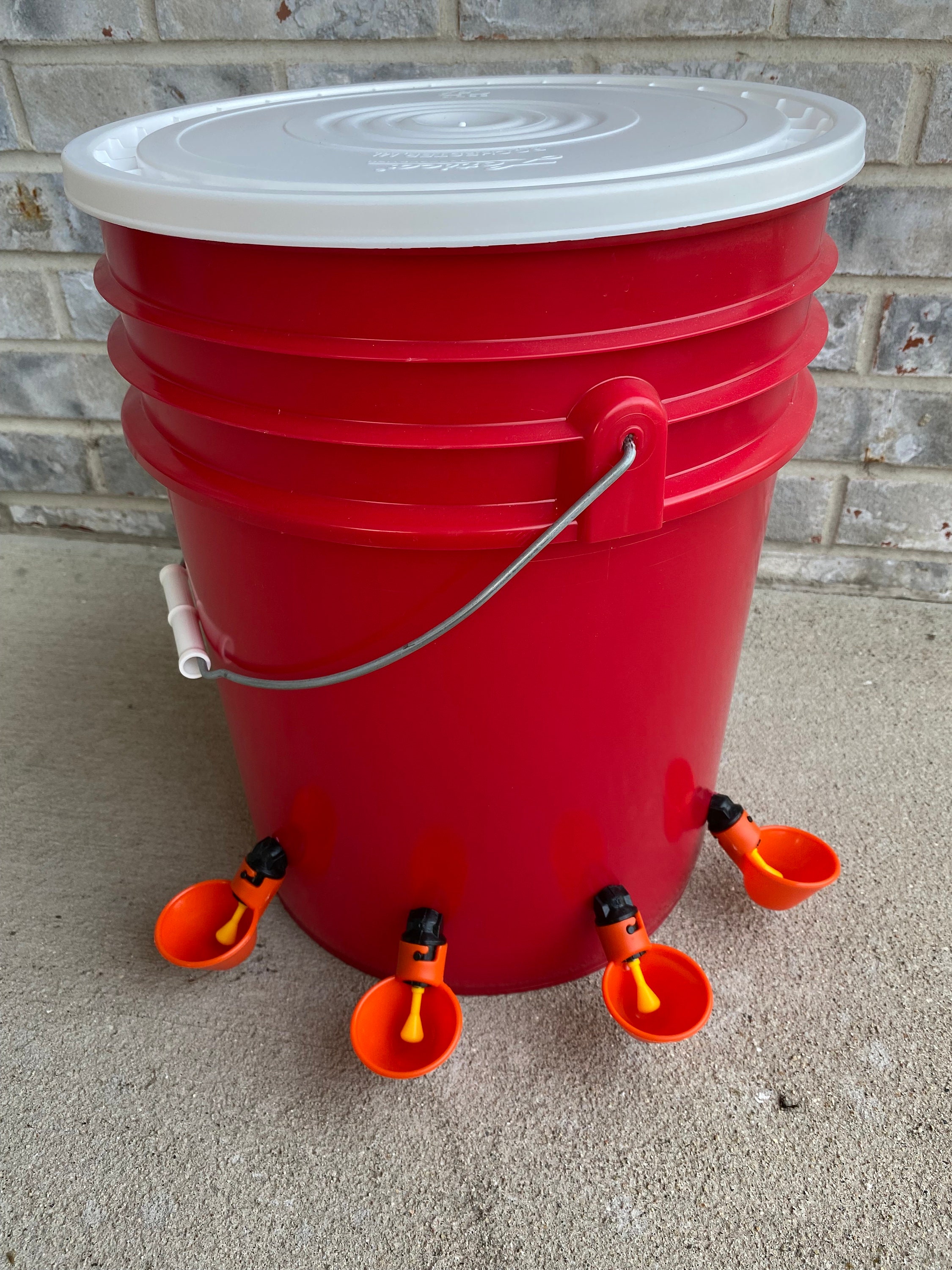 Fall CHICKEN Waterer Red Feeder Water Bucket, Halloween Special, 4 Cup  Style, Pullets, See Our DIY Kits Free Shipping 