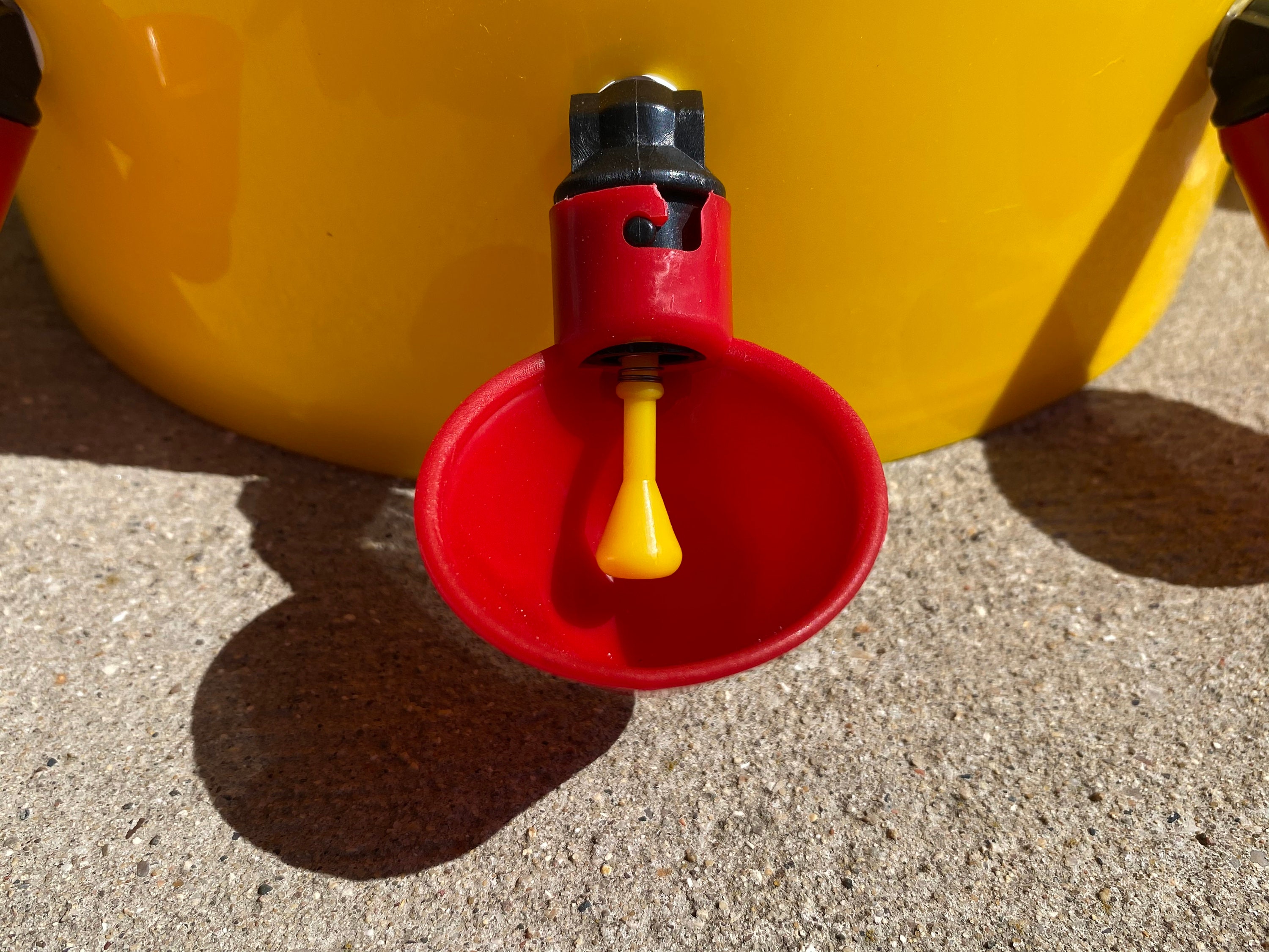 6 PCS Bebedero Gallinas Con Taladro, DIY Agua Para Pollos Automática Kit Para Aves Palomas