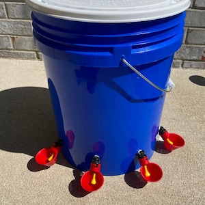 Blue Chicken Waterer Bucket: Automatic Poultry Water Feeder