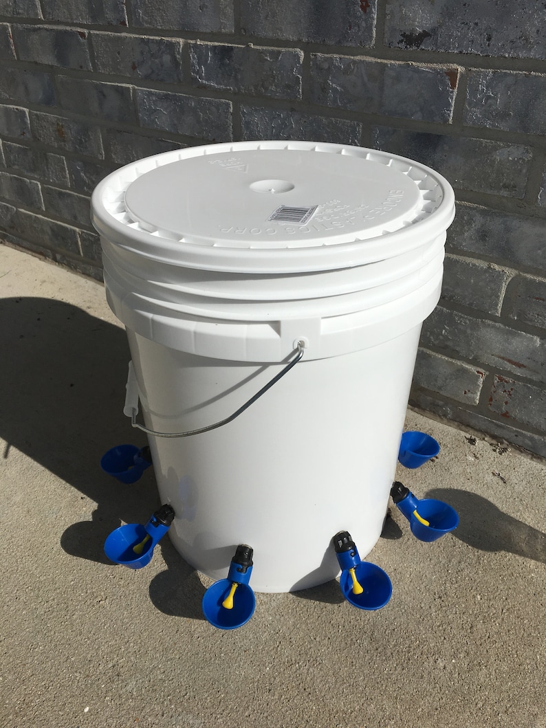 6 Cups AUTOMATIC CHICKEN Water Feeder Bucket Waterer Halloween Special