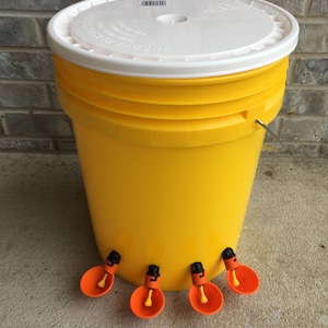 AUTOMATISCHE KIP WATERER Gele emmer Water Feeder, Labor Day Special, Quail, Cup Style 6 cup