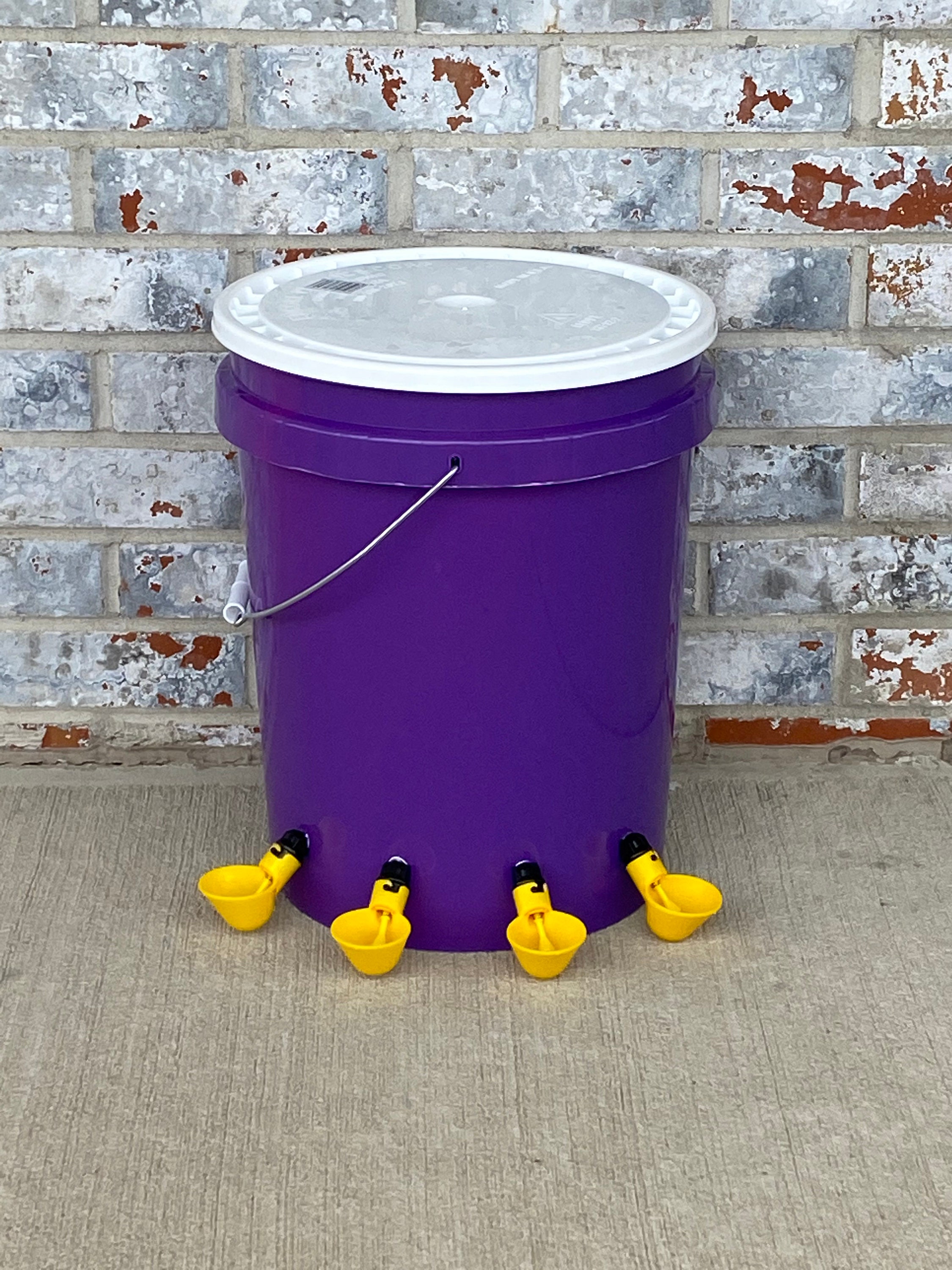 AUTOMATIC CHICKEN Waterer Purple 4 Yellow Cups Bucket Water Etsy