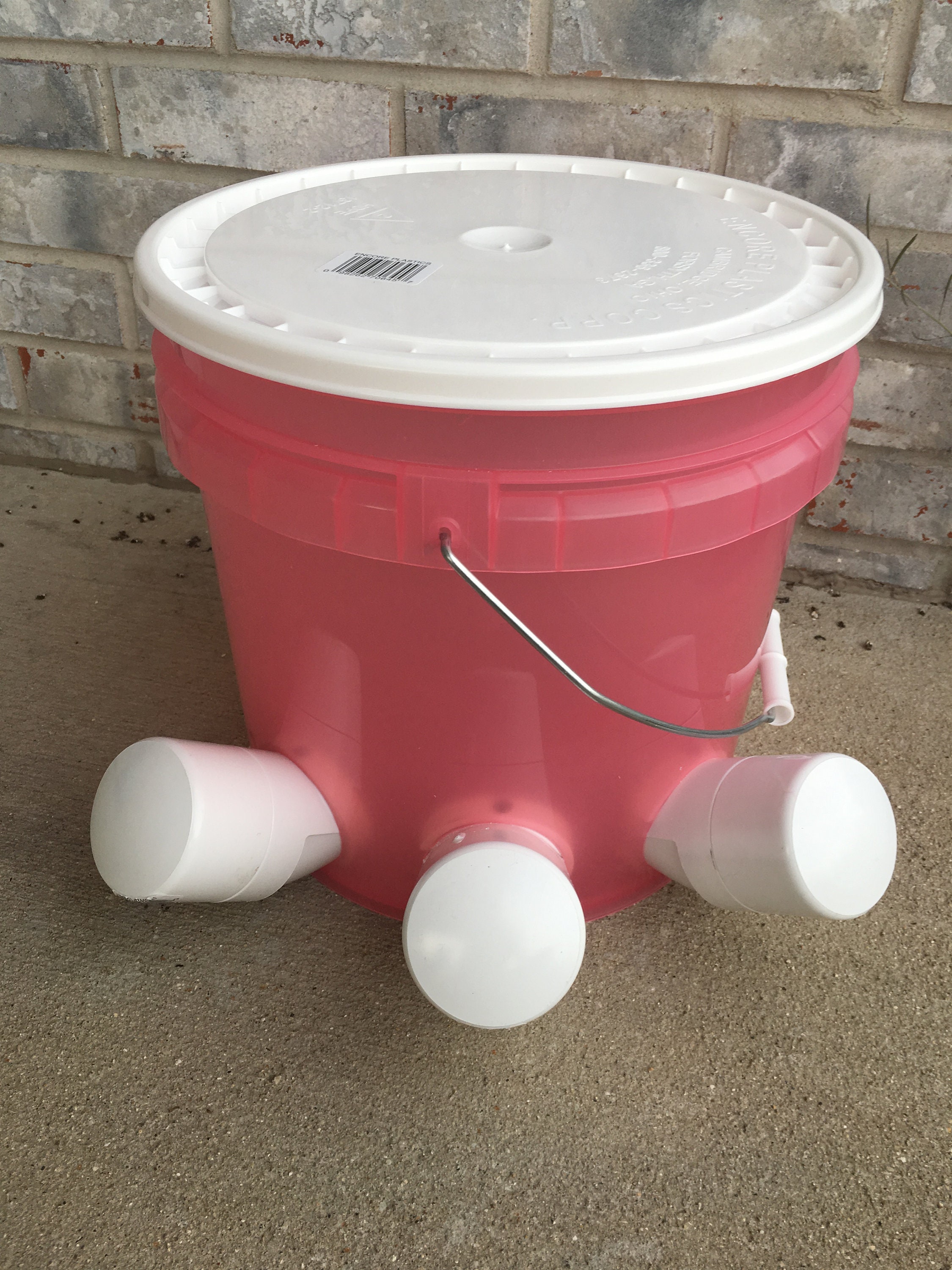 AUTOMATIC CHICKEN Feeder Translucent Pink Watermelon 4th of July ...