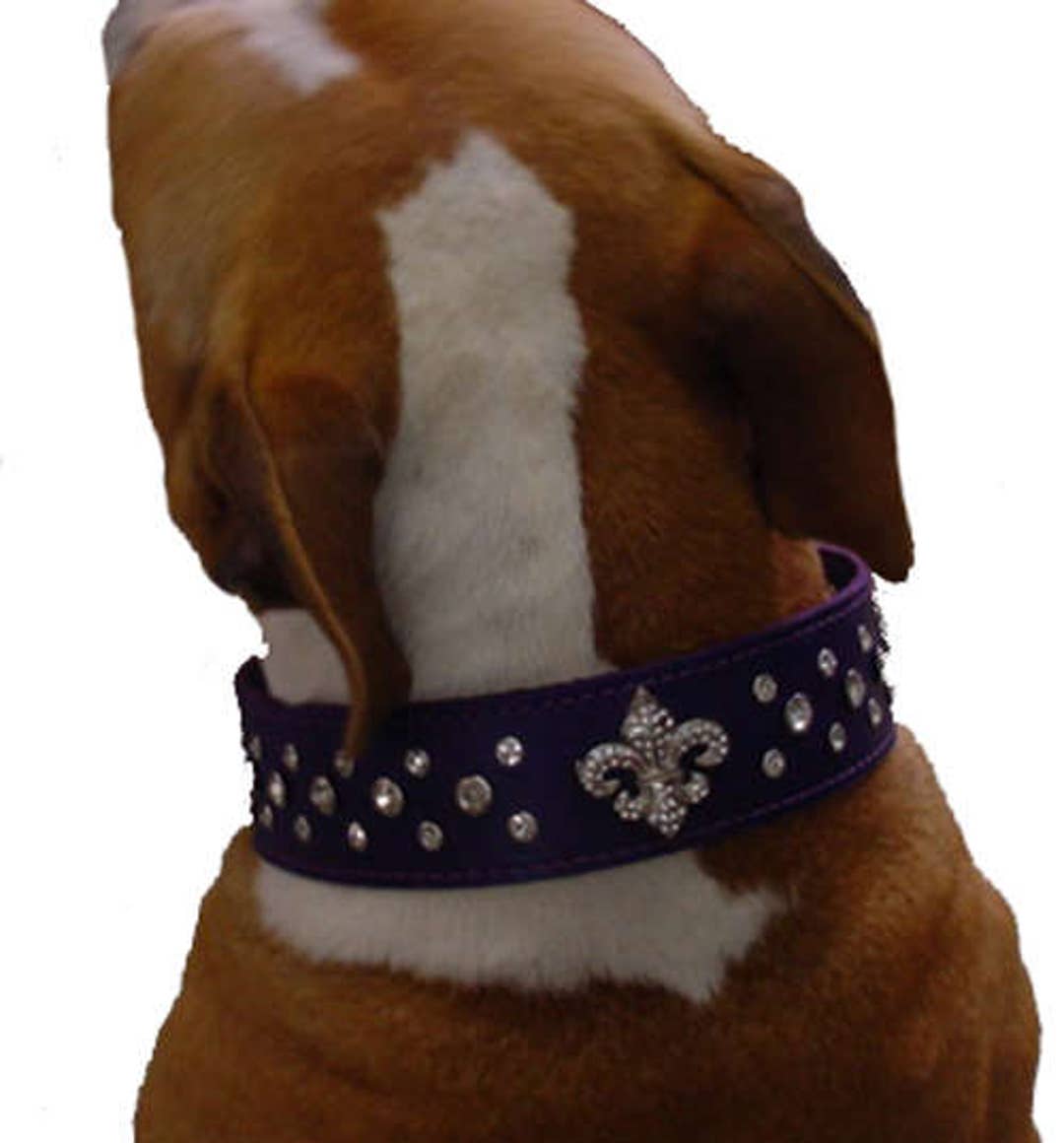 Luxury LV Designer Upcycled Dog Collar