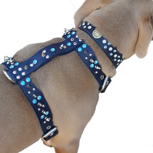 Blue Leather Dog Harness with Spikes, Studs, and Jewels Made In The USA and Waterproof, highest quality, best price, Free Shipping
