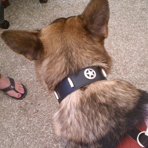 Sheriff Star With Bullets Leather Dog Collar Made In The USA, highest quality, best price, Free Shipping