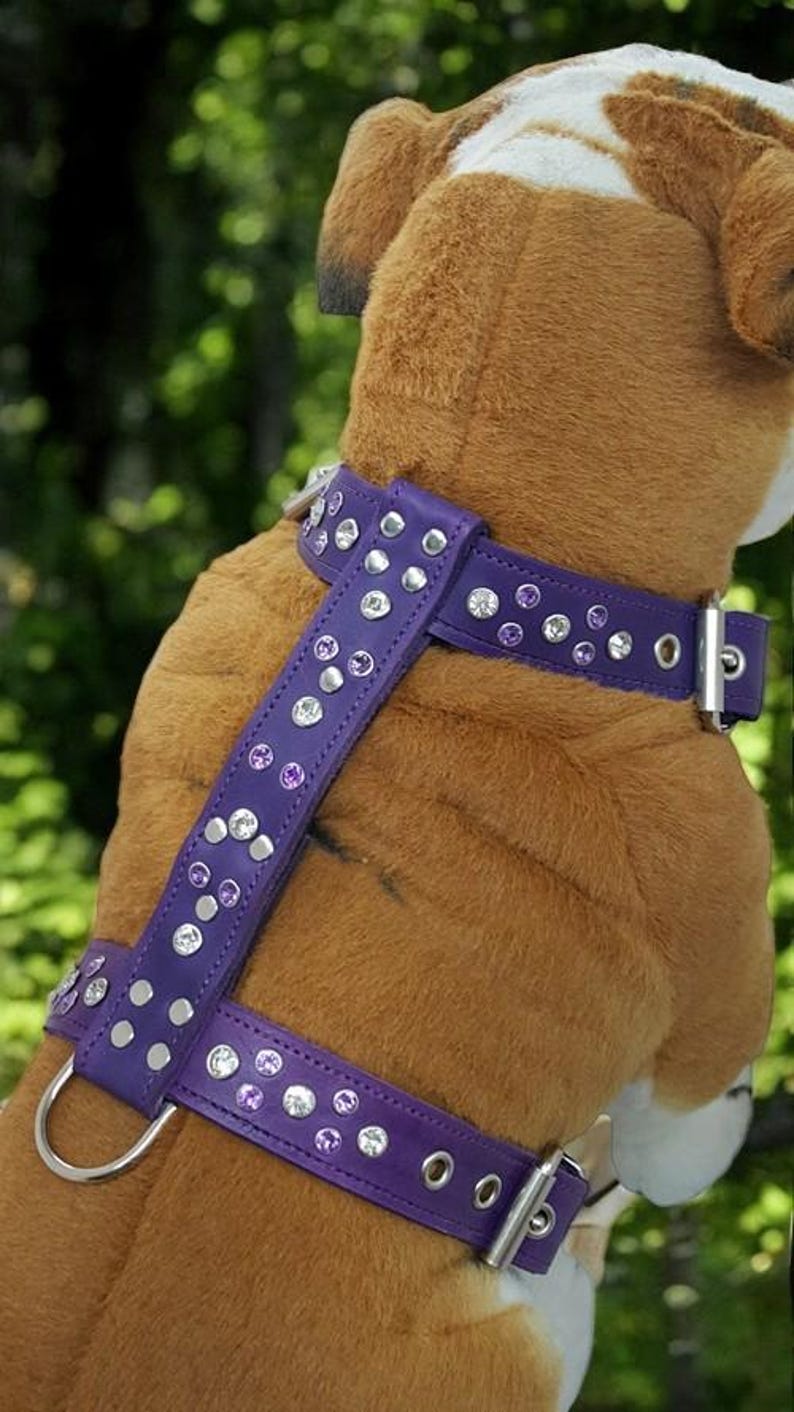 Leather Dog Harness For Medium Dogs Colors Sizes And Designs leather-dog-harness-for-medium-dogs-colors-sizes-and-designs