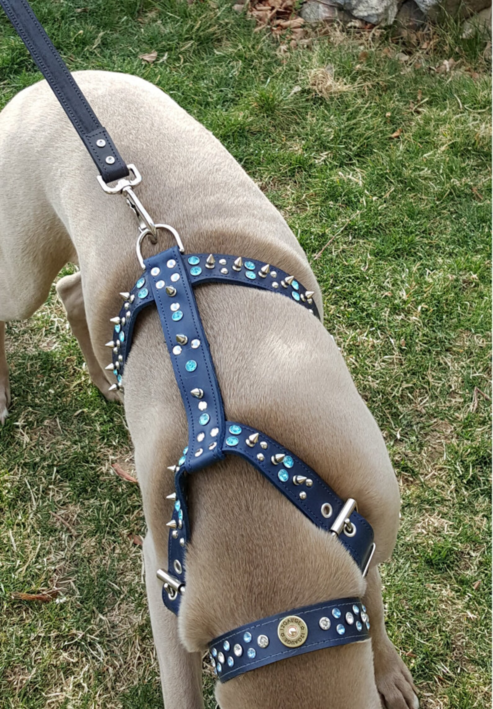 Blue Leather Dog Harness with Spikes Studs and Jewels Made Etsy
