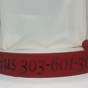 Laser Engraved Dog Collar Personalized Name And Phone Number, No More Lost ID Tags, USA