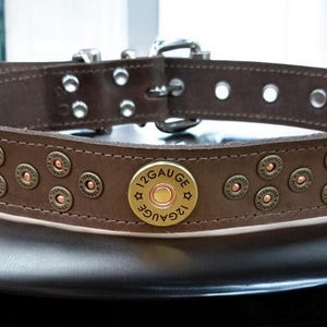 May include: Brown leather dog collar with brass shotgun shell accents and a silver buckle. The collar has the text "12 GAUGE" on one of the shells.