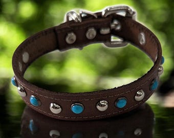 May include: Brown leather dog collar with silver studs and turquoise accents.