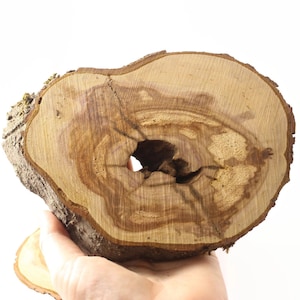 Plum tree slices | 4,7 - 7,5 inches | 12-19 cm | Rustic coasters | Big wooden slice