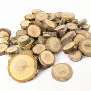 2cm-3cm Natural Wood Log Slices Tree Bark Wooden Circles Set of 100